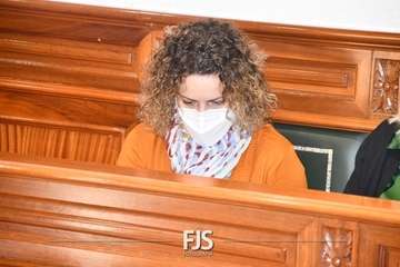 Pleno de Telde de este jueves/Francisco Javier Santana.